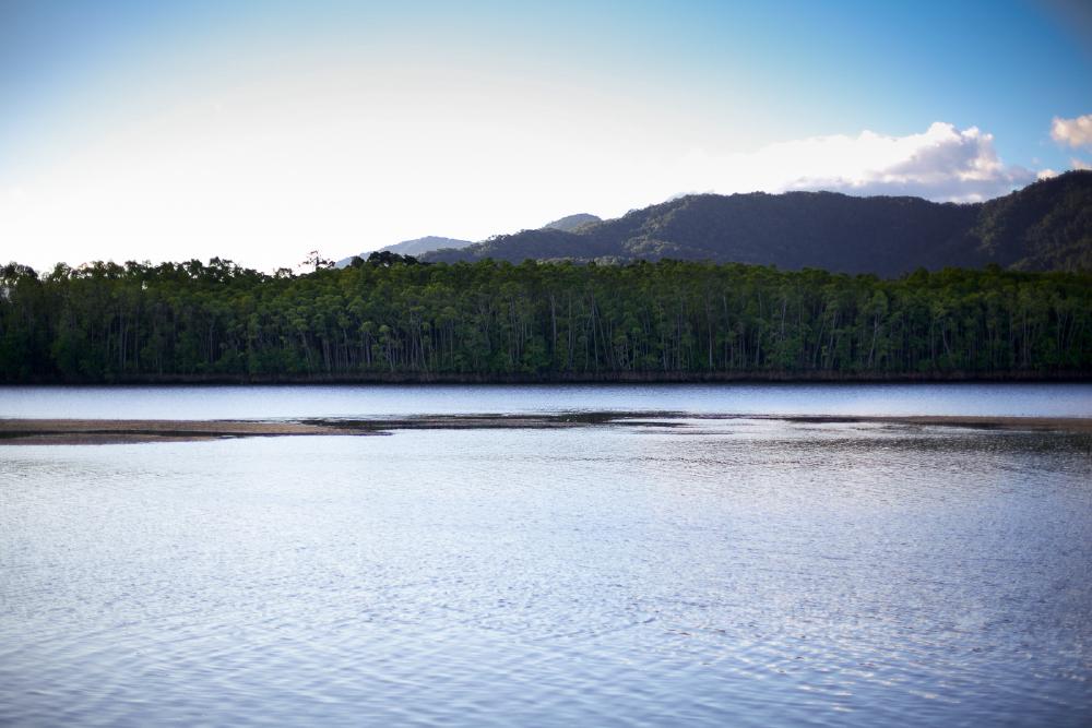 Daintree River, North Queensland